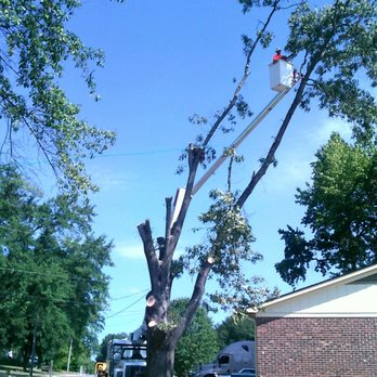 A n J Tree Service - Tree Services Near Me A n J Tree Service - Tree Services Near Me