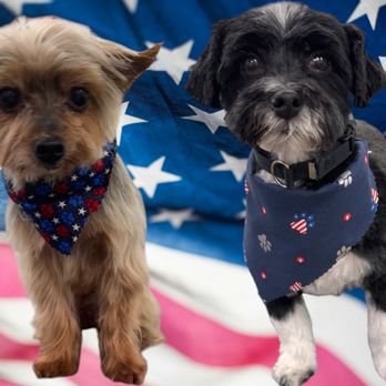 Cozy Canine Salon - Pet Groomers Near Me - Swansea, Illinois Cozy Canine Salon - Pet Groomers Near Me - Swansea, Illinois