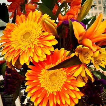 Flowers Plus - Florists Near Me - Charlotte, North Carolina Flowers Plus - Florists Near Me - Charlotte, North Carolina