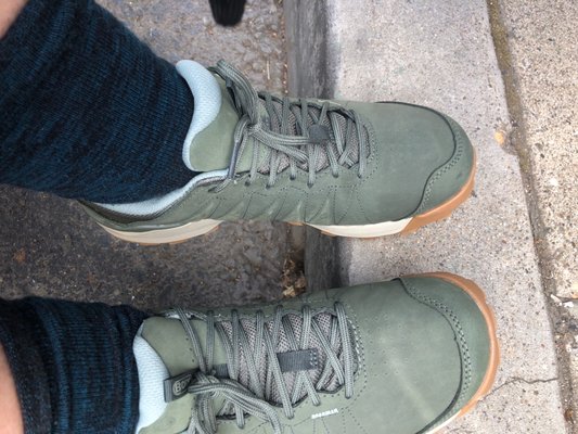 Sierra Nevada Adventure Co. by null