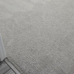 Prestige Carpet Cleaning