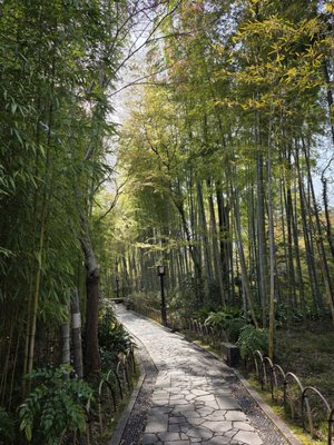 Shuzenji by null
