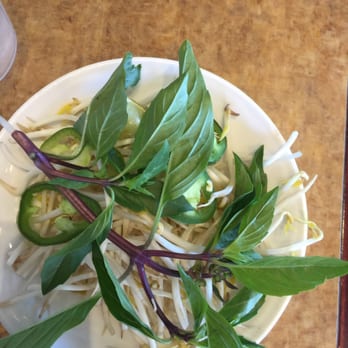Pho Saigon - Sprout & Mint - Vietnamese Near Me - Austin, Texas Pho Saigon - Sprout & Mint - Vietnamese Near Me - Austin, Texas