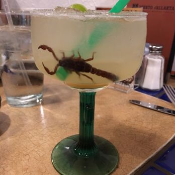 Puerto Vallarta - Scorpion Margarita, literally! - Mexican Near Me - Southington, Connecticut