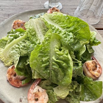 Fig Tree - Green salad with shrimp - Cafes Near Me - Los Angeles, California Fig Tree - Green salad with shrimp - Cafes Near Me - Los Angeles, California