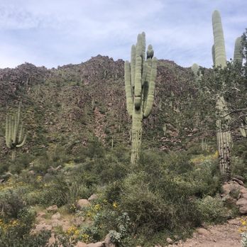 Hieroglyphic Trail Hoa - Trail - Hiking Near Me - Gold Canyon, Arizona Hieroglyphic Trail Hoa - Trail - Hiking Near Me - Gold Canyon, Arizona