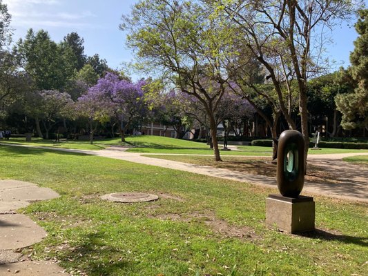Franklin D. Murphy Sculpture Garden by null