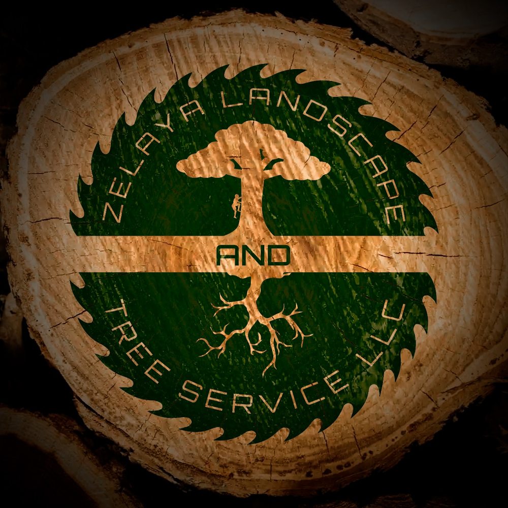 Zelaya Landscape and Tree Service - tree service in Grand Prairie, TX