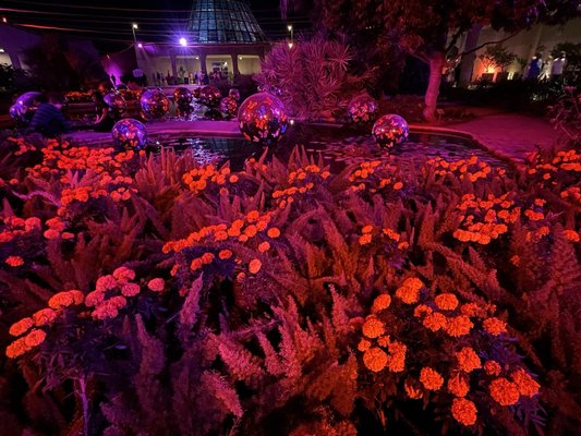 San Antonio Botanical Garden by null