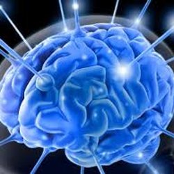 Life Worth Living - Neurofeedback can help behavioral health issues