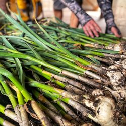 Orie's Farm Fresh