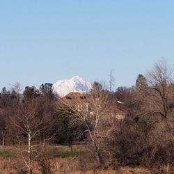 Clover Creek Preserve - My. Shasta