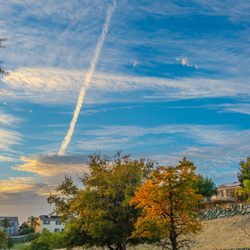 Coyote Pond Park