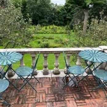 Blind Tiger Burlington - Hotels Near Me - Burlington, Vermont