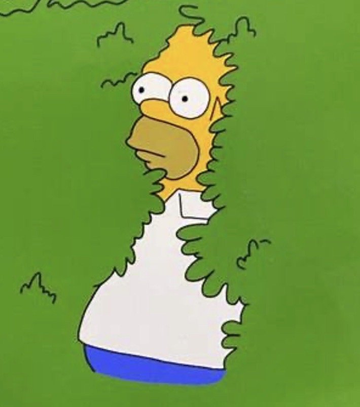 TOWN OF DAY 1650 N Shore Rd, Hadley, New York Phone Number Yelp