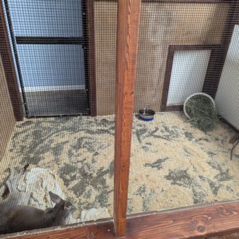 Animal Adventures - Zoos Near Me - Bolton, Massachusetts