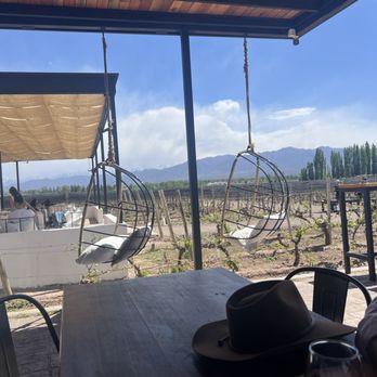 Bodega Viamonte - Wineries Near Me - Luján de Cuyo, M
