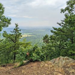 Buzzard Rock North Trail - Instagram: @telephonesmoothie
