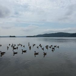 Columbia Crossing Rivers Trails Center