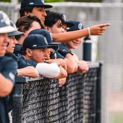 Gameday Baseball