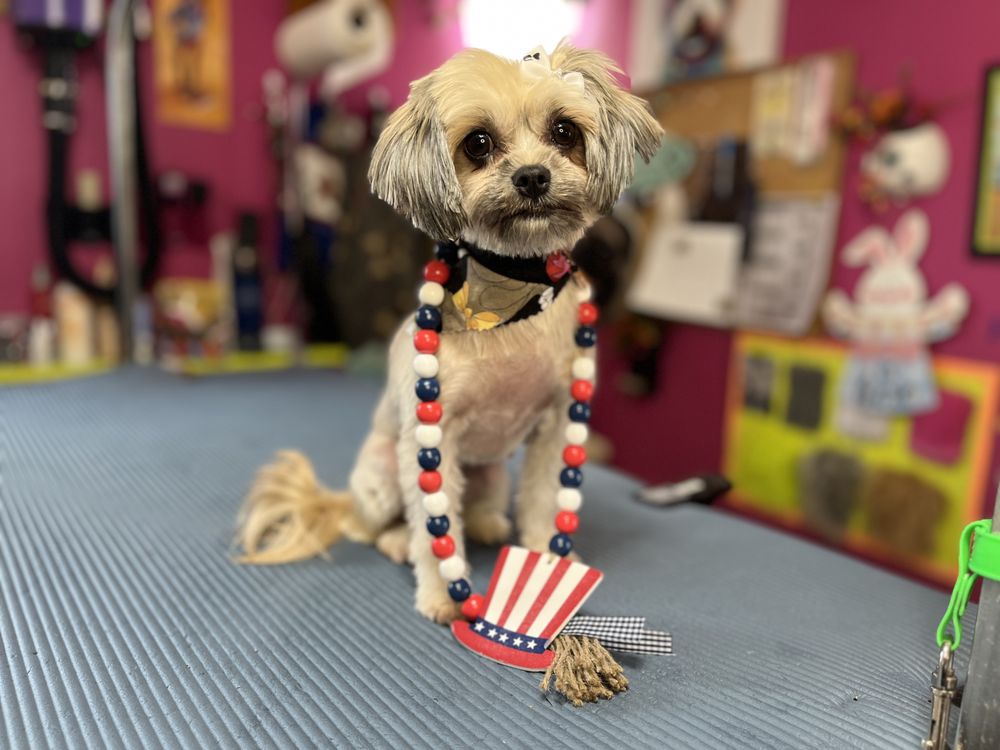 New Fursey Pawspitality Image