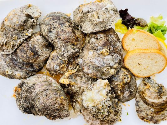 The Fish House by null