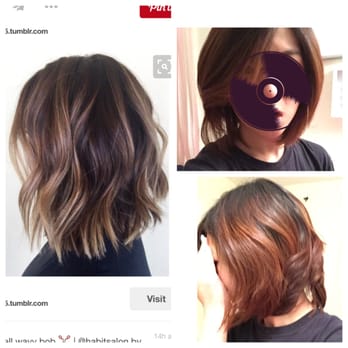 Hair 2 Heart - Left is what I showed. Right is what I got....... I wanna cry. - Hair Salons Near Me - Morton Grove, Illinois