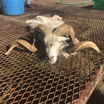 The Wildlife Ranch - Hunting & Fishing Supplies Near Me - Mason, Texas