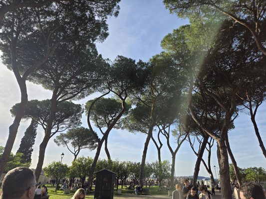 Scooteroma Tours - Private Vespa & Scooter tours of Rome by null