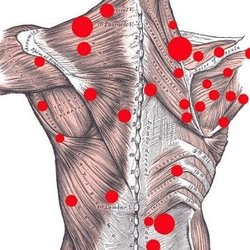 Seguin Sports Massage - Trigger Point Neuromuscular Therapy & Orthopedic Tui Na