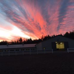 Cater Stables