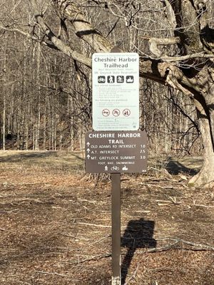 Mount Greylock State Reservation by null