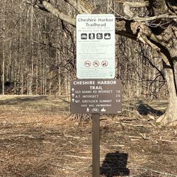 Mount Greylock State Reservation