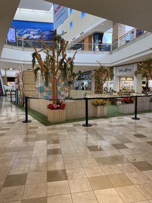 Chandler Fashion Center by null