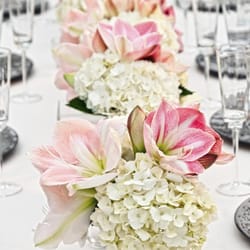 Lindsy Steinberg Events