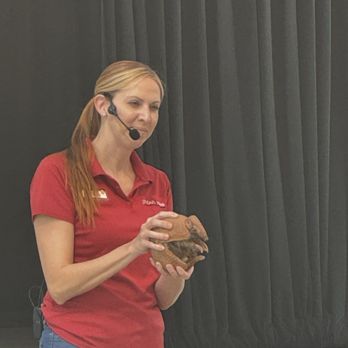 Phoenix Zoo - Show about the armadillo - Zoos Near Me - Phoenix, Arizona Phoenix Zoo - Show about the armadillo - Zoos Near Me - Phoenix, Arizona