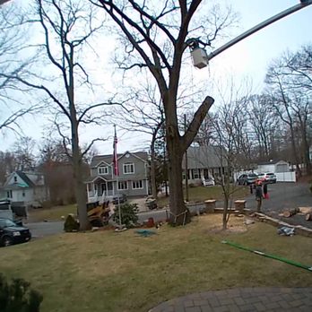 Sunburst Tree Experts - Tree Services Near Me - Port Jefferson Station, New York Sunburst Tree Experts - Tree Services Near Me - Port Jefferson Station, New York