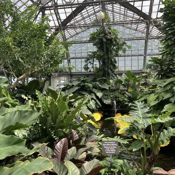Garfield Park Conservatory - Parks Near Me - Chicago, Illinois Garfield Park Conservatory - Parks Near Me - Chicago, Illinois