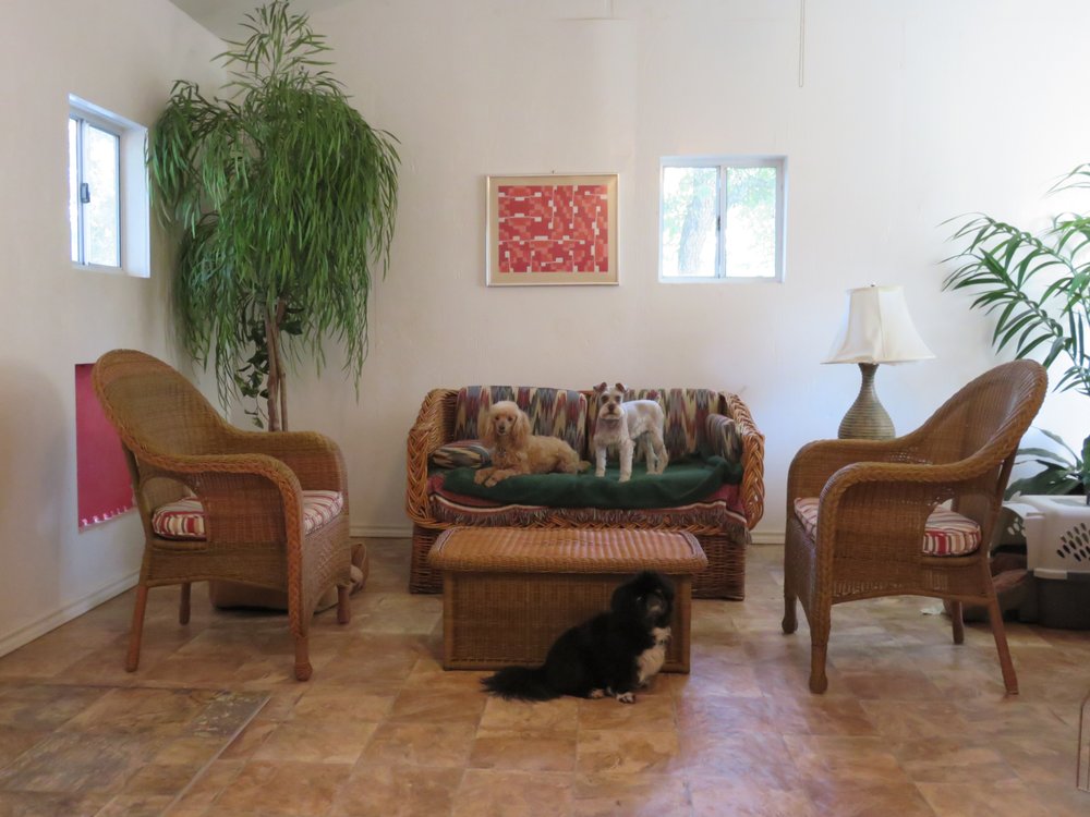 A Dog E Spa & Resort Image