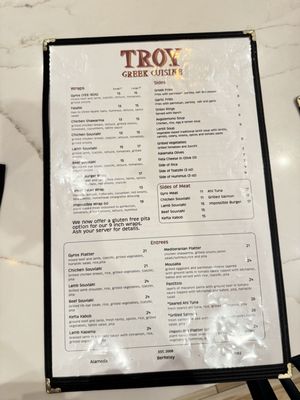 Troy by null