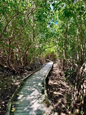 Virgin Islands National Park by null