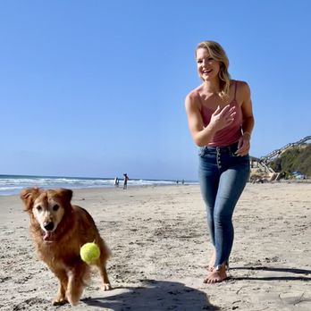 Perky Paws Pet Training - Pet Training Near Me Perky Paws Pet Training - Pet Training Near Me