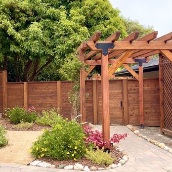 Sainz Tree Service - Before view... - Tree Services Near Me Sainz Tree Service - Before view... - Tree Services Near Me