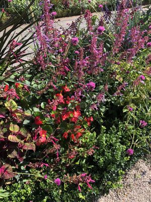 Jardin Botanique de l'Arquebuse by null