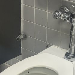 Dirty toilet