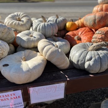 Scott's Farm Store - It didn't stop - Fruits & Veggies Near Me - Old Saybrook, Connecticut Scott's Farm Store - It didn't stop - Fruits & Veggies Near Me - Old Saybrook, Connecticut