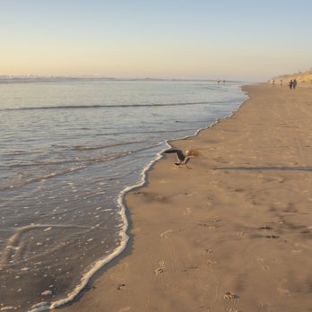 Torrey Pines State Beach - Beaches Near Me - San Diego, California