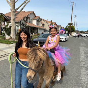 Pony Party For You - Amusement Parks Near Me - Rialto, California Pony Party For You - Amusement Parks Near Me - Rialto, California