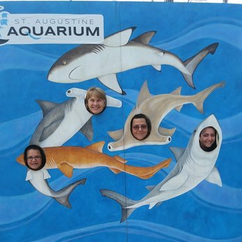 St Augustine Aquarium - scary sharks at the St Augustine Aquarium - Aquariums Near Me - St. Augustine, Florida