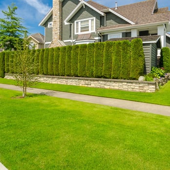 Chipps Tree Service - Tree Services Near Me - Muncie, Indiana Chipps Tree Service - Tree Services Near Me - Muncie, Indiana